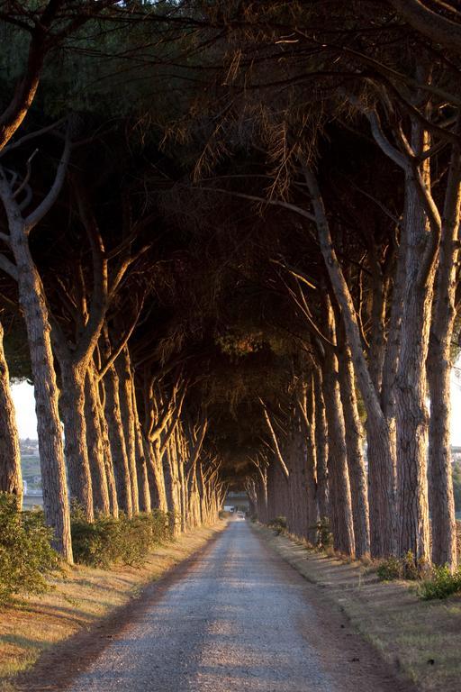 Agriturismo Pantano Borghese Monte Compatri ภายนอก รูปภาพ