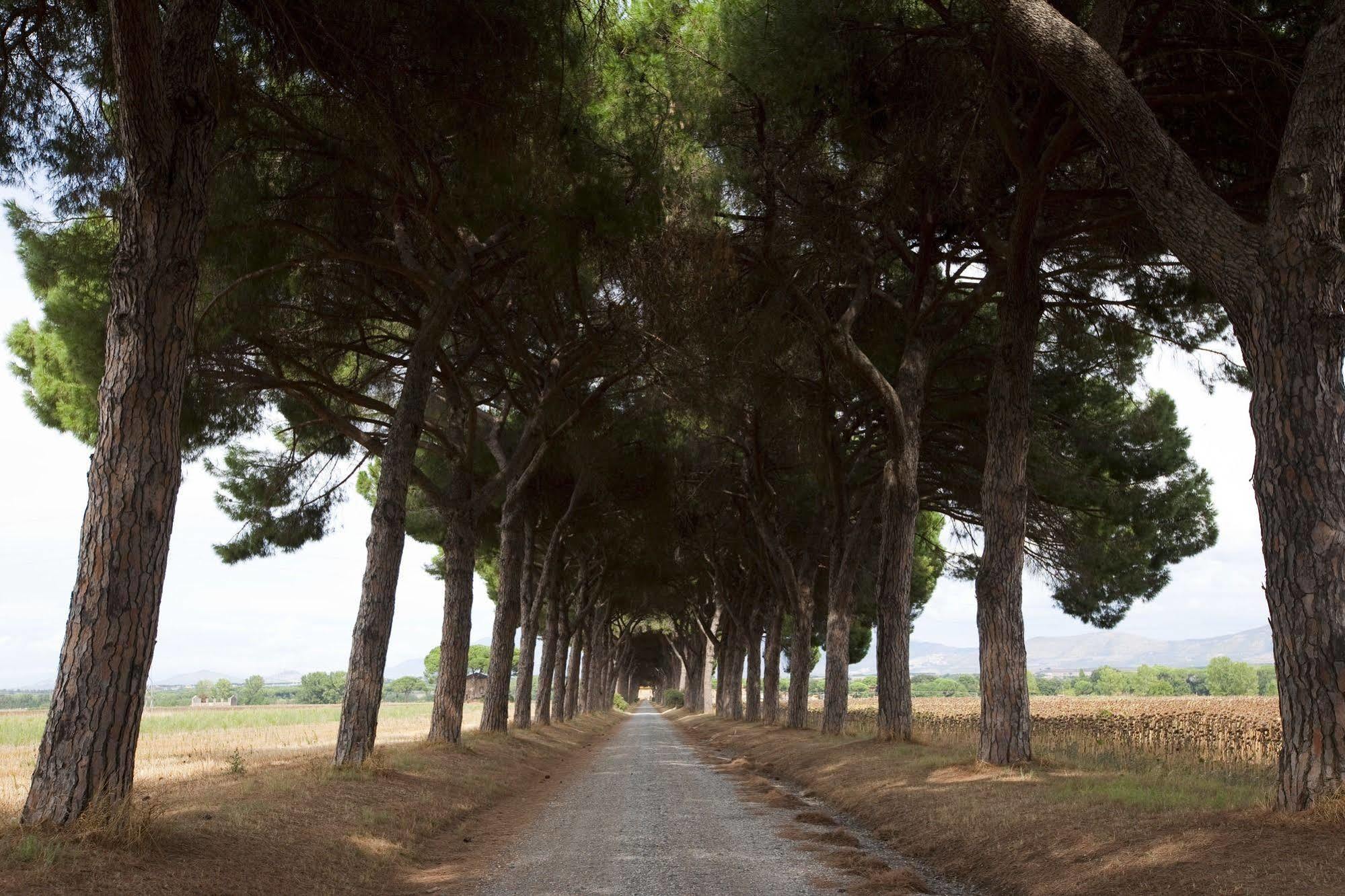 Agriturismo Pantano Borghese Monte Compatri ภายนอก รูปภาพ